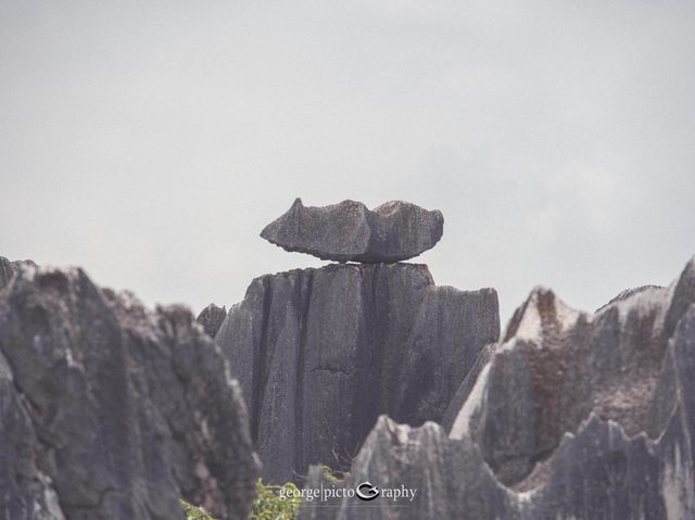 Stone Forest Geological Park@Kunming