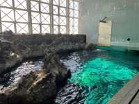 レトロな感じが逆に良い？！須磨水族館🐟