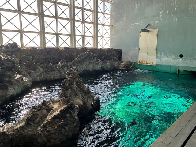 レトロな感じが逆に良い？！須磨水族館🐟