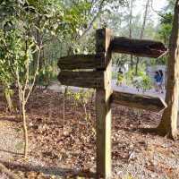 Natural Park in the Northeast of SG 