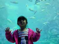 澎湖景點-澎湖水族館
