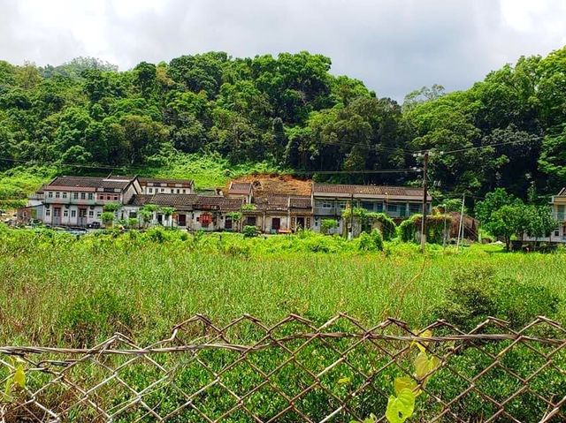 鹿頸谷埔｜0難度行山