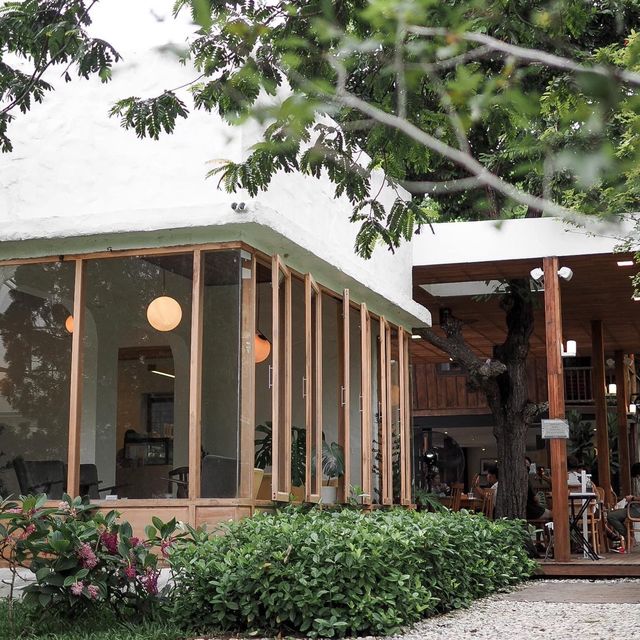 Canary Café & Restaurant. 
