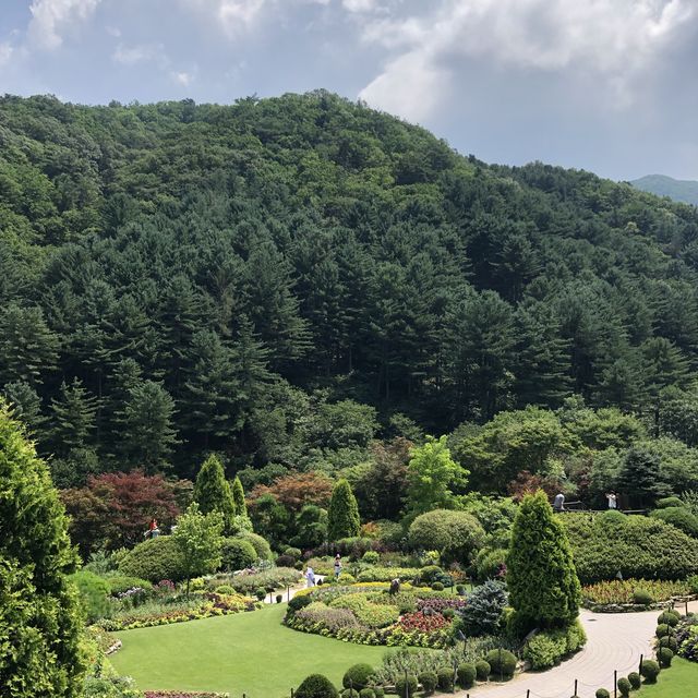 [수목원 힐링 여행]🌱가평 아침고요수목원🌱