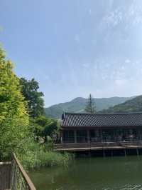 가을 여행지 추천 :: 화담숲🌳