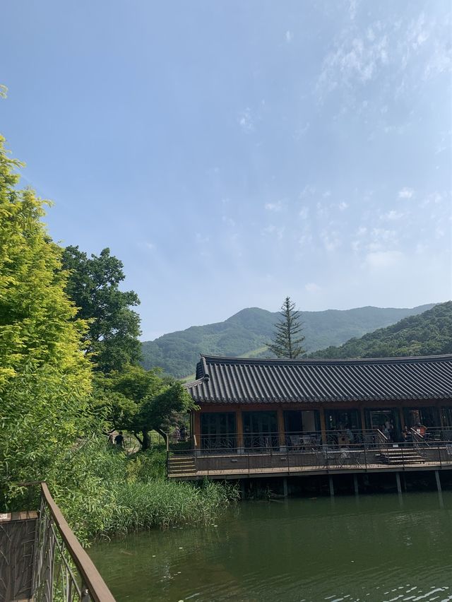 가을 여행지 추천 :: 화담숲🌳