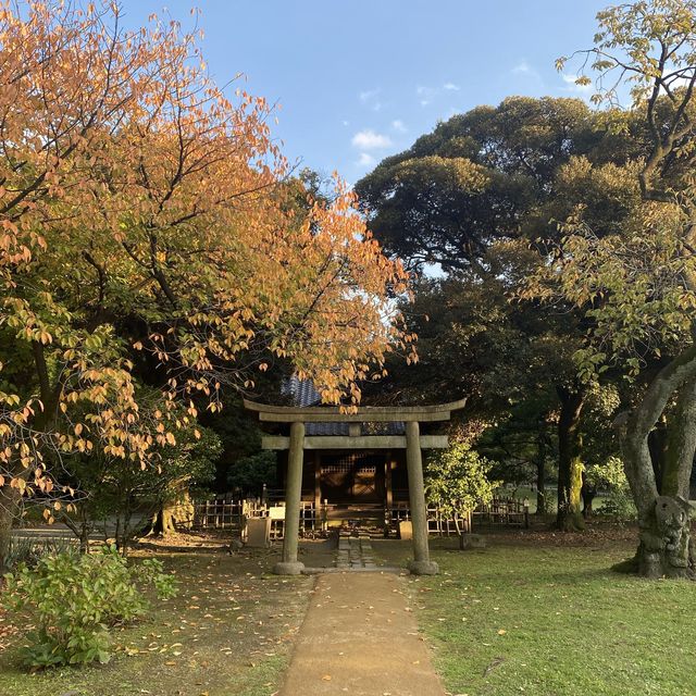 東京〝浜離宮恩賜庭園〟