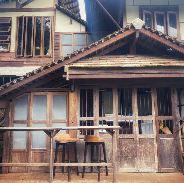 mori natural farm 🏔