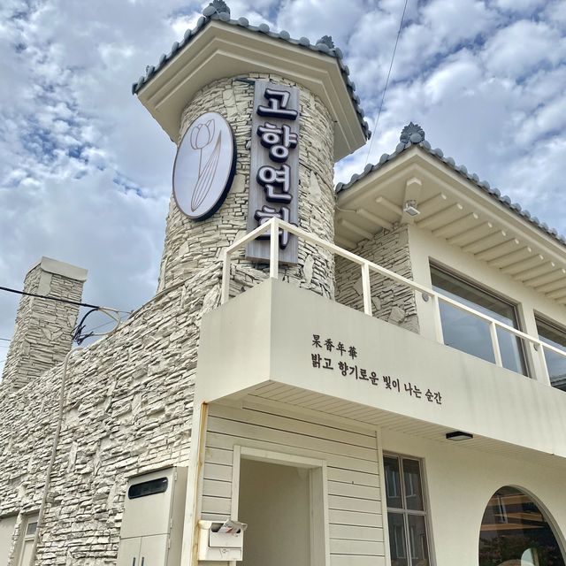[부산 기장] 돈까스가 정말 맛있는 ‘고양연화’