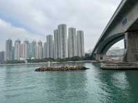 青衣海濱公園 海峽景色
