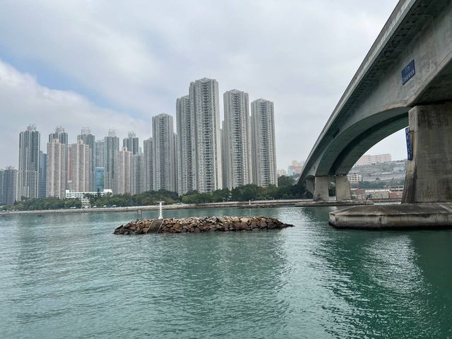 青衣海濱公園 海峽景色
