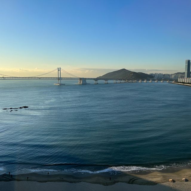 부산 광안리 맛집&카페 추천🏖