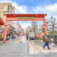 雪の朝の伝法院通り