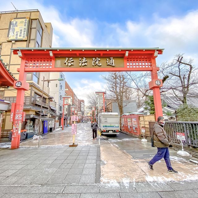 雪の朝の伝法院通り
