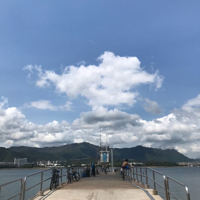 大圍至大埔單車一日遊