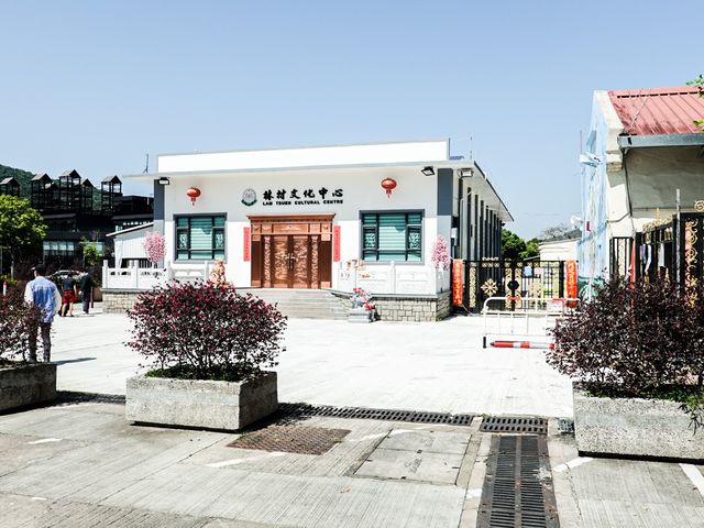 祈福靚境 林村許願樹