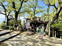 岐阜🐿リスがかなり近くでみれて餌もあげれる🐿💓金華山リス村