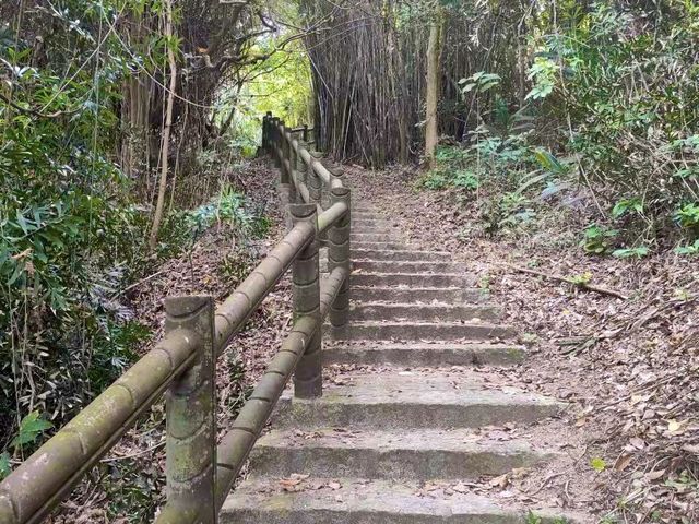 長洲北眺亭行山路線，看盡長洲。適合新手