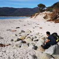 Beautiful WineGlass Bay