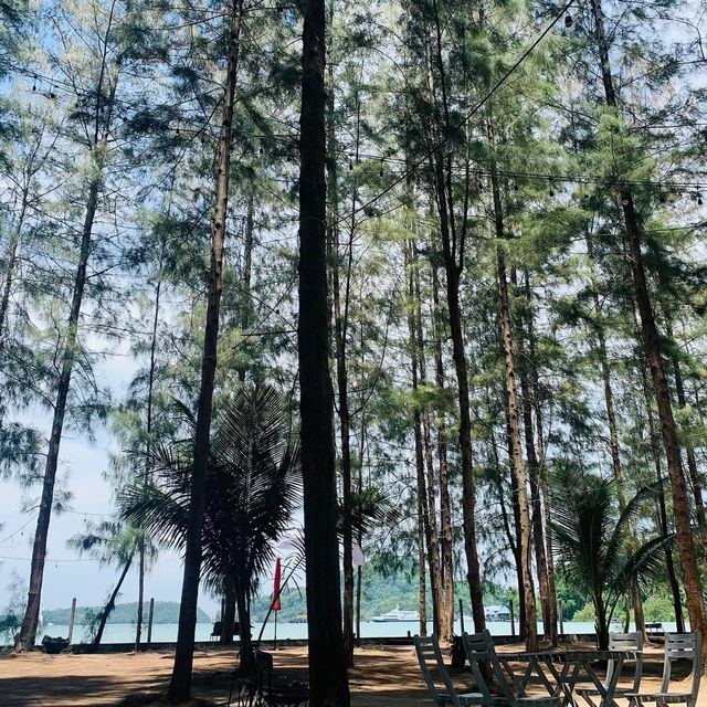 The Island บาร์ลับแห่งใหม่ในภูเก็ต
