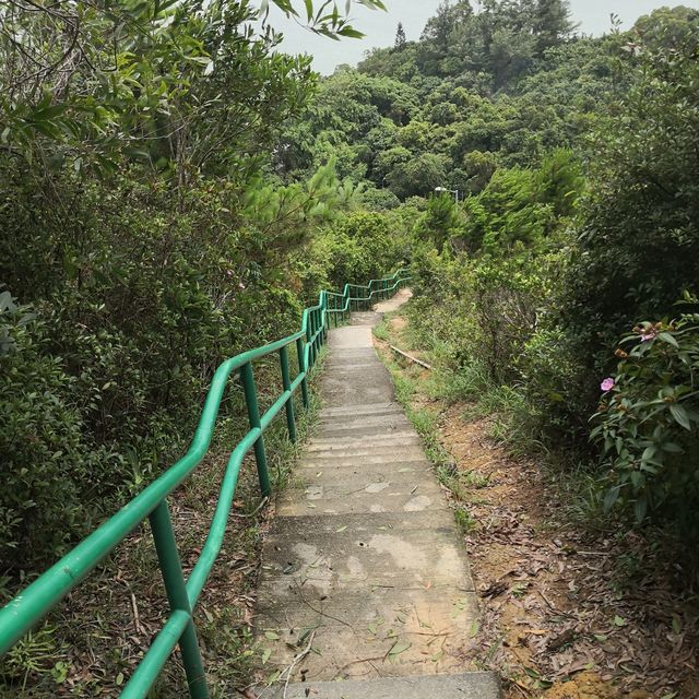 新手必行🥇一小時登頂