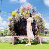 夏天的信心農莊
