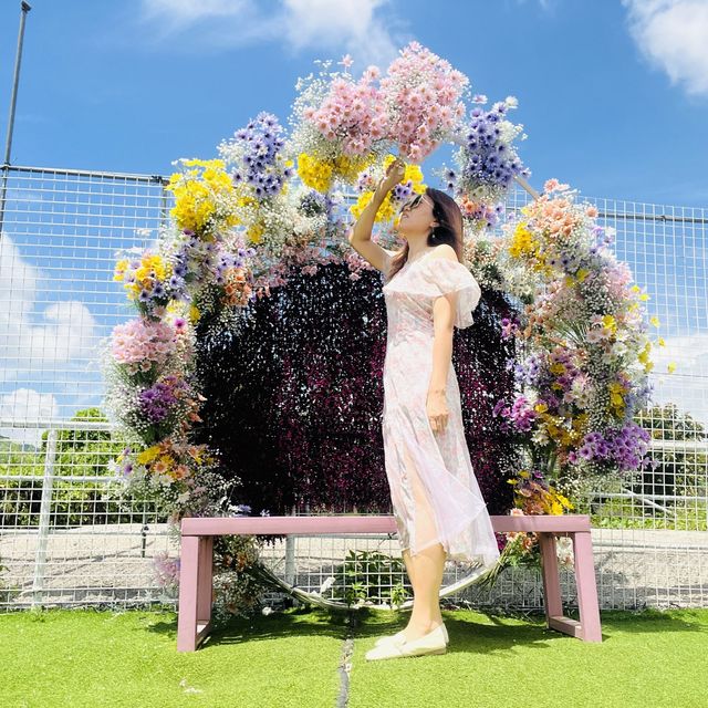 夏天的信心農莊