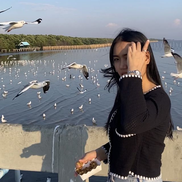 สถานตากอากาศบางปู@สมุทรปราการ 