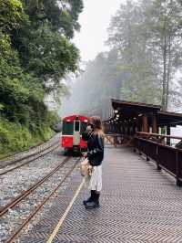 Alishan - Shenmu station 