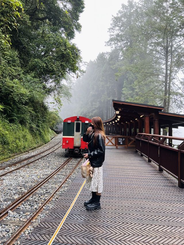 Alishan - Shenmu station 