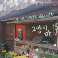 복고풍 감성, 청암민속박물관 추억관람