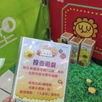 【大本型 x 菠蘿油妹妹・香港情懷】