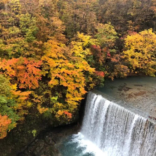 【岩手県】渓谷全体が紅葉の絶景へ