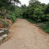 Hiking in time Coloane Trail (8100m)