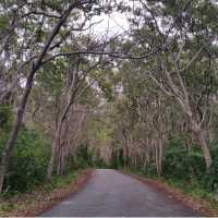 Mystic Island of Siquijor