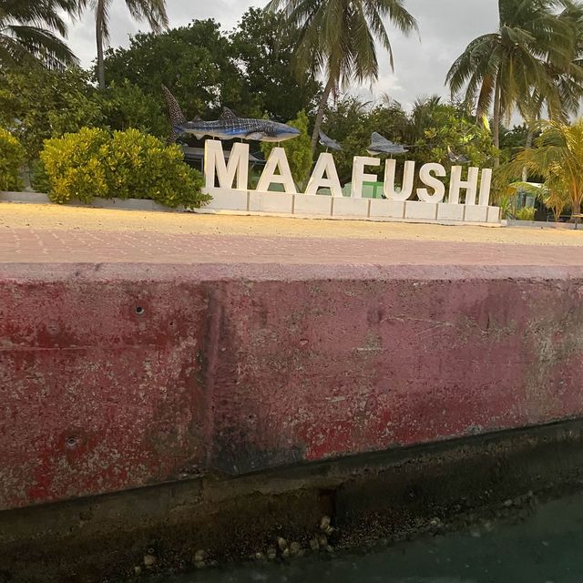 Maafushi, Maldives