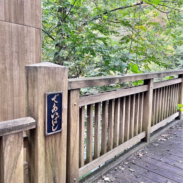 【青森】紅葉に色づく奥入瀬激流をお散歩♪