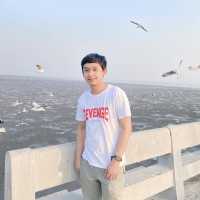 ให้อาหารนก ที่บางปู