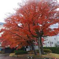 岩手県！歴史と文化とマンホールカード