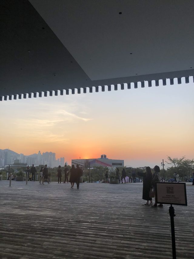 M+ Museum 🖼️🤪