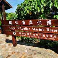 Best day at Cape's D' Aguilar!