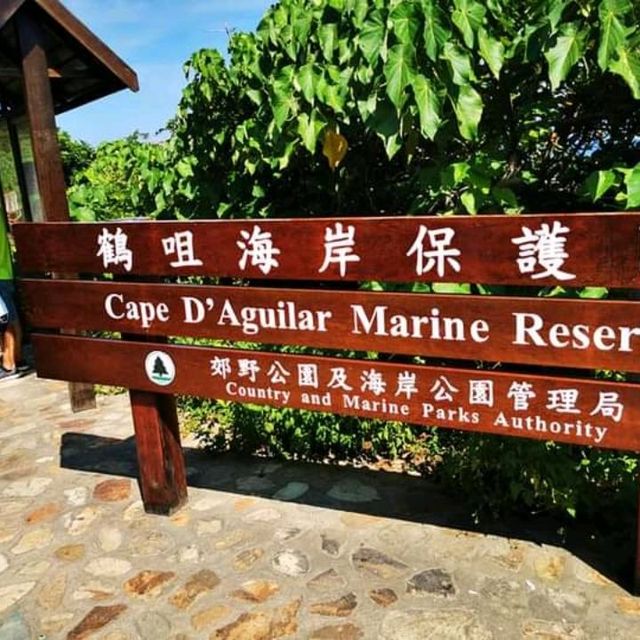 Best day at Cape's D' Aguilar!