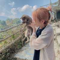 เดินเล่นที่ cat cat village sapa 🗺🤍