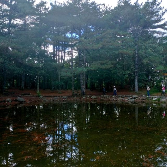 福壽山農場-寧靜的天池