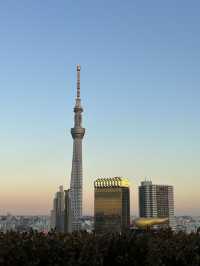 ザ・ゲートホテル雷門＊宿泊者専用の絶景展望テラス