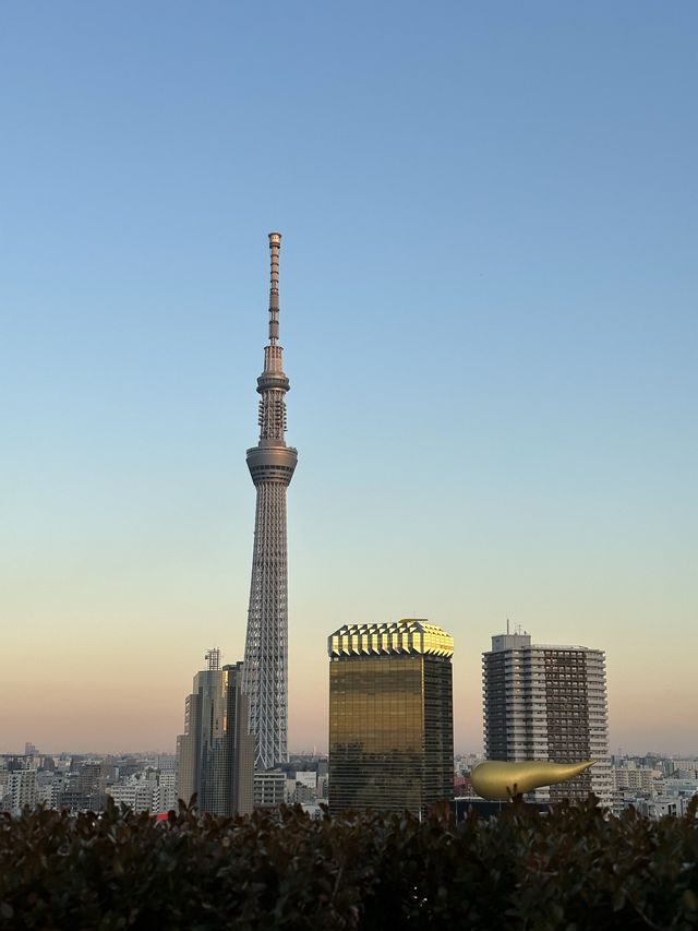 ザ・ゲートホテル雷門＊宿泊者専用の絶景展望テラス