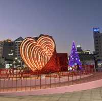 목포 평화광장의 보라색 트리 