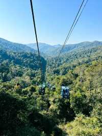 Wild Elephants Valley 
