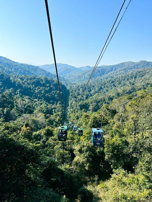 Wild Elephants Valley 