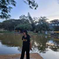 EVENING CHILLING AT PARK 